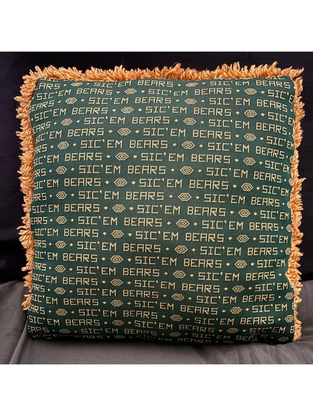 Vintage Baylor Bears Sic Em Shag Throw Pillow Green Gold NCAA Retro Decor 14x14